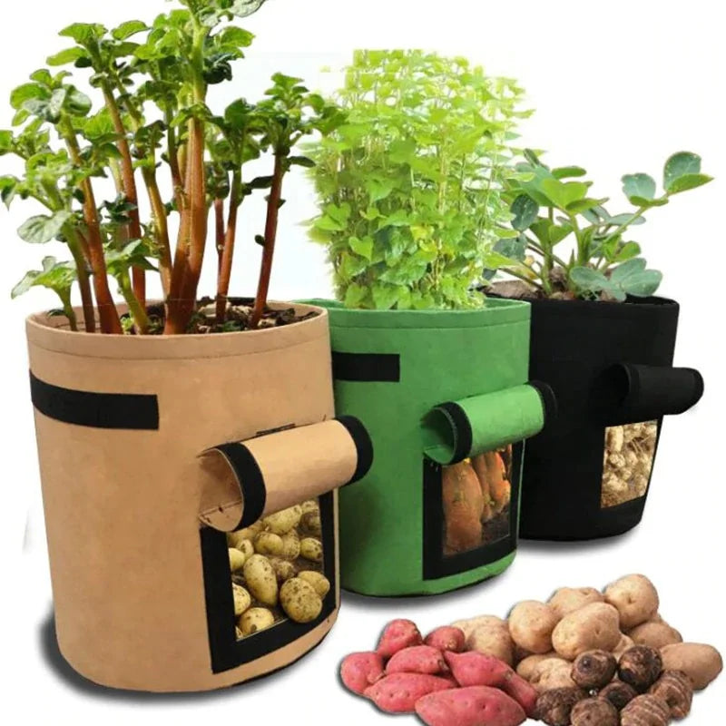 Vegetable Growing Bag